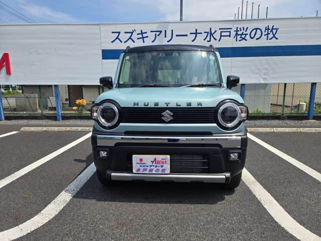ハスラータフワイルド