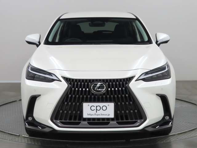 NX350h バージョンL