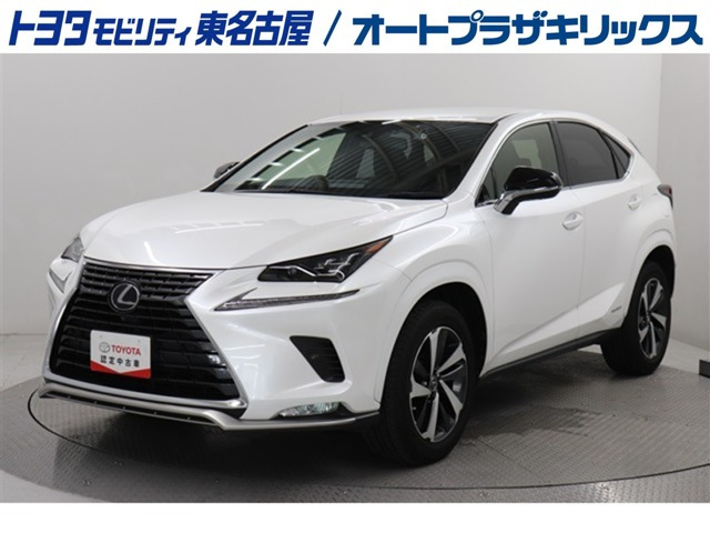 NX300h