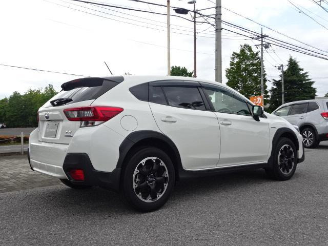 XV