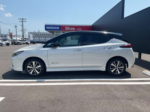 リーフe+ X
