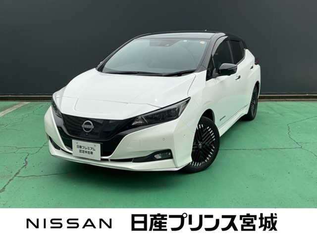 リーフe+ G
