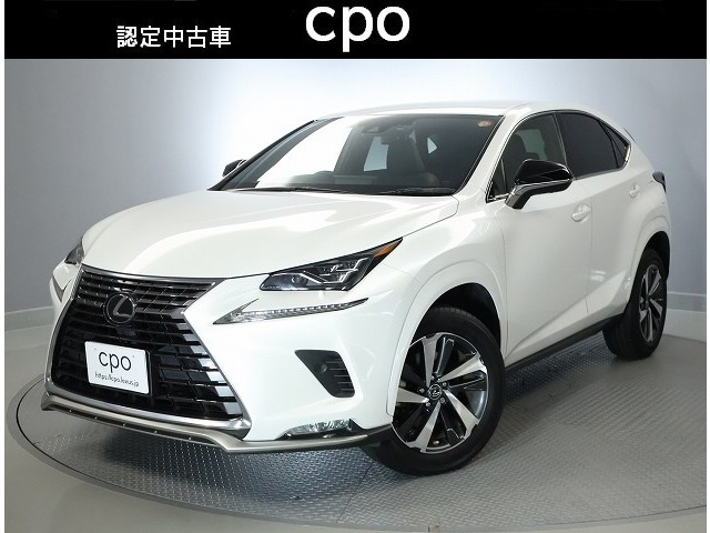 NX300