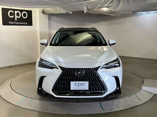 NX250 バージョンL 4WD