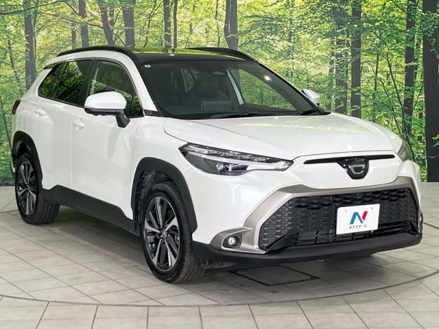 �������x�̃K���X�疌�ŝ����͂������A�㎿�ȃc���E����������B���O����_���J�����؂Ȉ��Ԃ�ی삵�A�F�����E�򉻂�h�~�B�u�e�X�v���b�V���R�[�g�v�A�u�e�v���~�b�T�R�[�g�v���炨�I�т��������܂��B