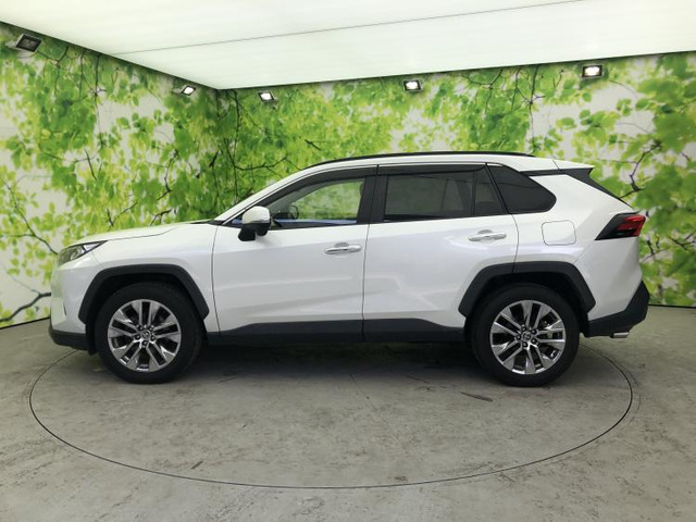 RAV42.0 G Zパッケージ 4WD
