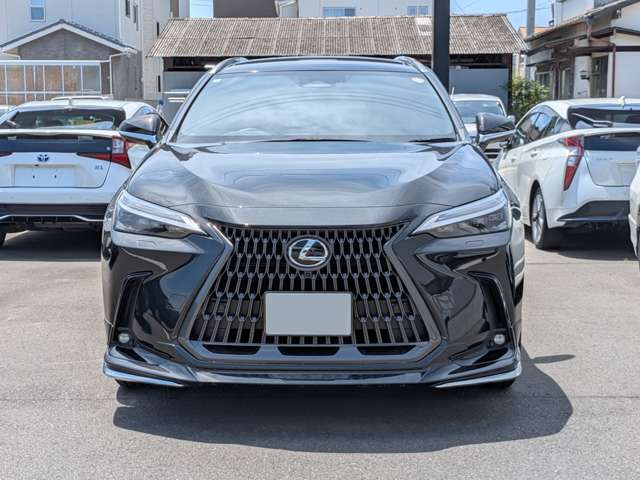 NX450hプラス バージョンL 4WD