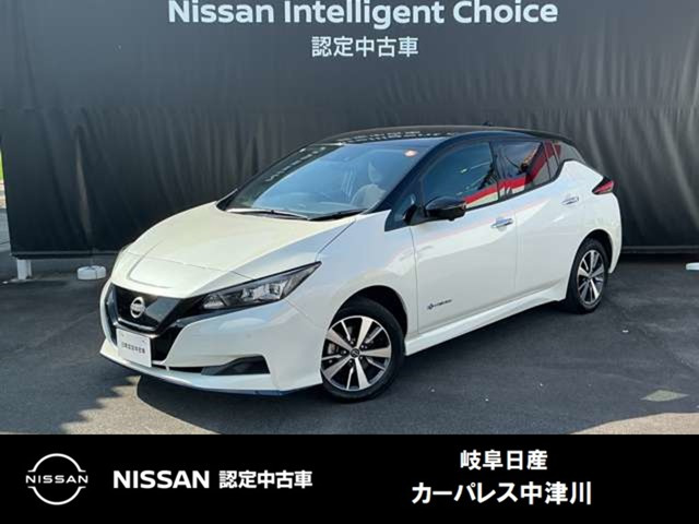 リーフe+ X