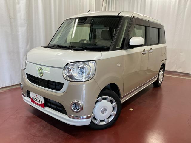 ムーヴキャンバスG メイクアップ SAIII