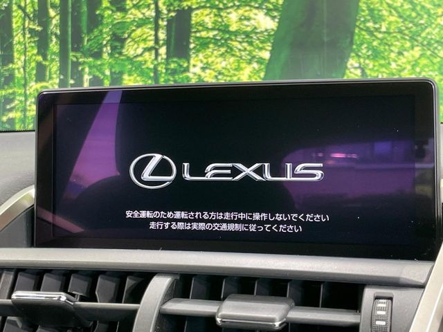 NX300h Iパッケージ