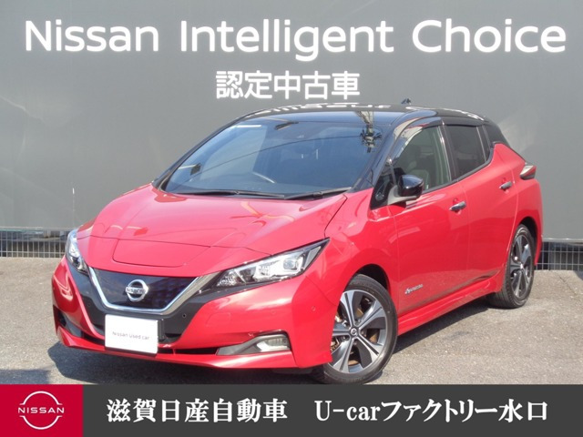 リーフG