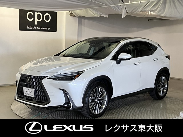 NX250 バージョンL 4WD