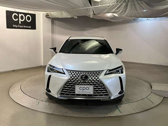 UX250h グレイスフル エクスプローラー