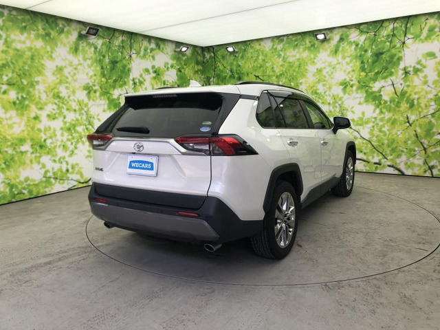 RAV42.0 G Zパッケージ 4WD