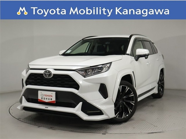 RAV42.0 X