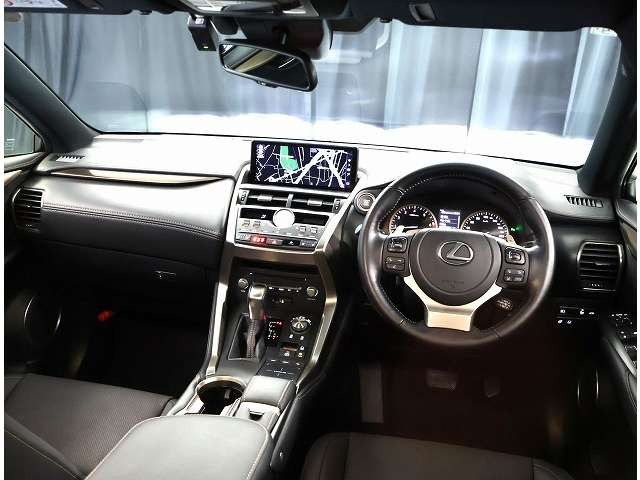 NX300