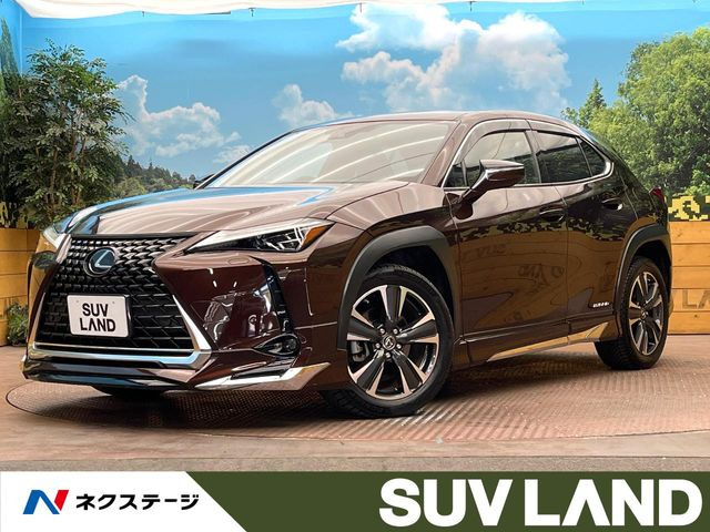レクサス UX エアロパーツ装備の中古車一覧｜中古車検索 - 価格.com