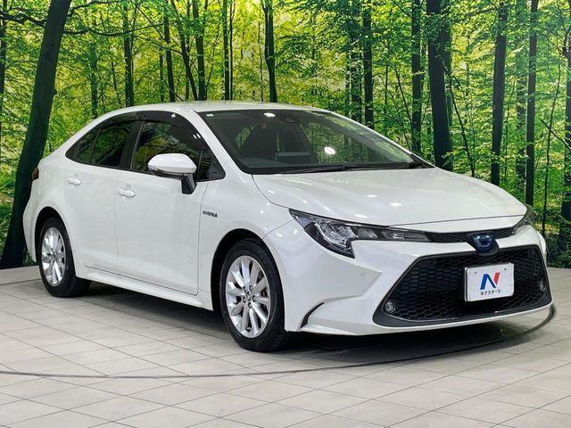 �������x�̃K���X�疌�ŝ����͂������A�㎿�ȃc���E����������B���O����_���J�����؂Ȉ��Ԃ�ی삵�A�F�����E�򉻂�h�~�B�u�e�X�v���b�V���R�[�g�v�A�u�e�v���~�b�T�R�[�g�v���炨�I�т��������܂��B