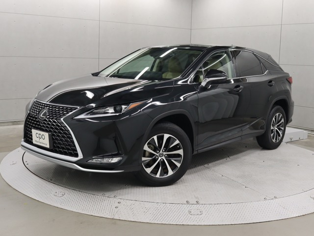 RX300