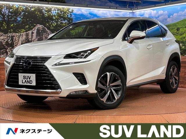 NX300h Iパッケージ