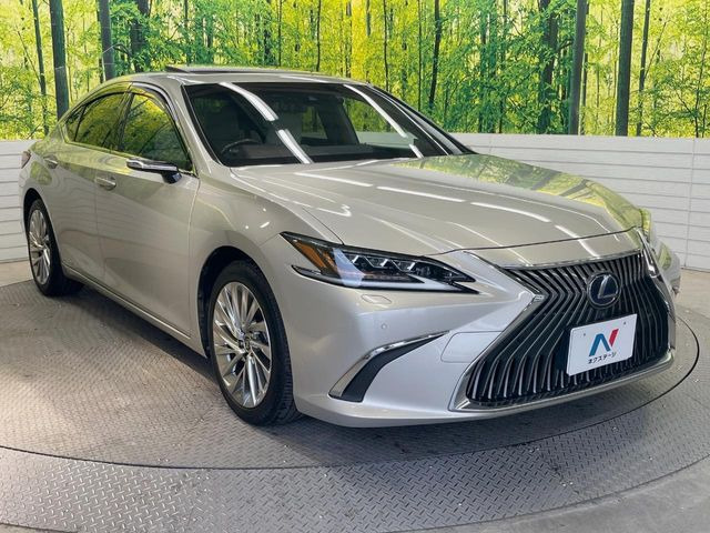 �������x�̃K���X�疌�ŝ����͂������A�㎿�ȃc���E����������B���O����_���J�����؂Ȉ��Ԃ�ی삵�A�F�����E�򉻂�h�~�B�u�e�X�v���b�V���R�[�g�v�A�u�e�v���~�b�T�R�[�g�v���炨�I�т��������܂��B