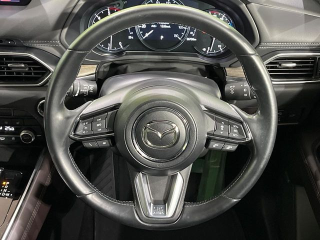 �y�}�c�_�E���[�_�[�N���[�Y�R���g���[���z�������H�ł̒��������s���y��!�����ő��x��ۂN���[�Y�R���g���[�����A�Փˌy���V�X�e���ƘA�g���A�O���̎ԗ������m���ĎԊԂ�ۂ悤�ɑ��x���߂��Ă���܂�!!