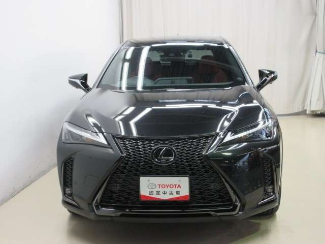 UX250h Fスポーツ