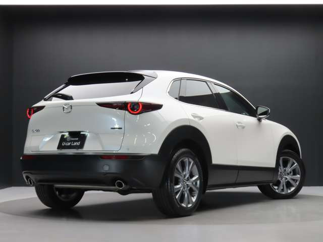 CX-302.0 20S Sパッケージ