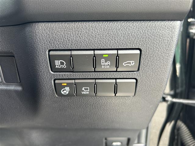 NX300 Fスポーツ
