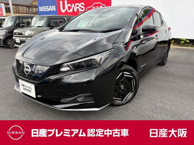 リーフe+ X