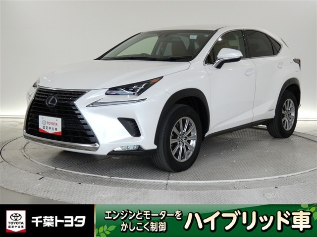 NX300h Iパッケージ