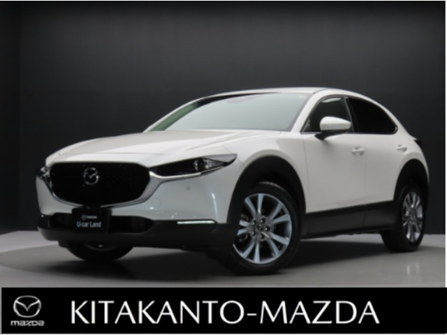 CX-302.0 20S Sパッケージ