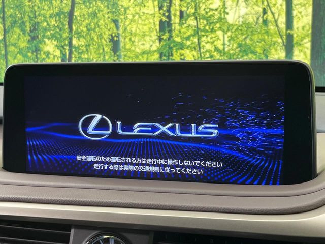 RX300 バージョンL