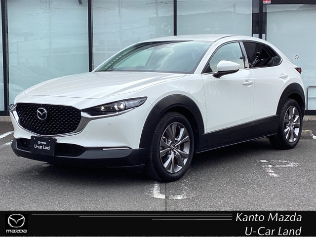 CX-302.0 20S Lパッケージ 4WD