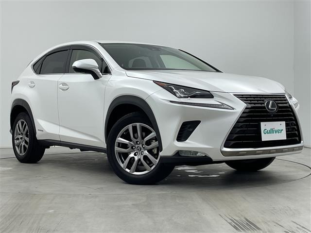 NX300h バージョンL