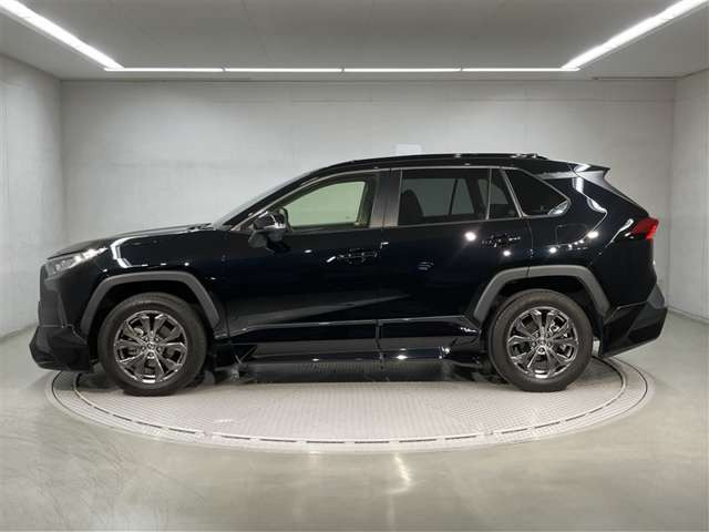 RAV42.0 X