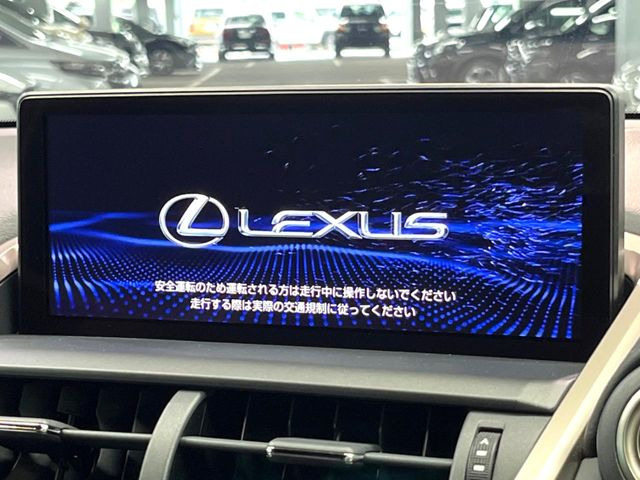 NX300 ブロンズ エディション