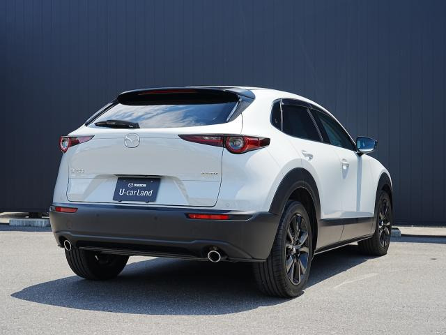 CX-301.8 XD レトロスポーツエディション 4WD