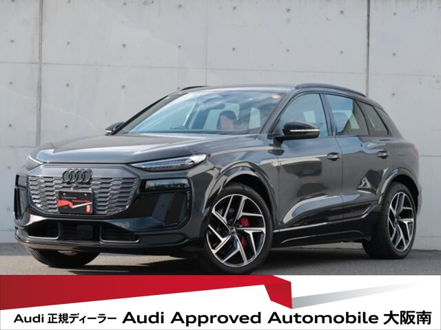 SQ6 e-tron4WD