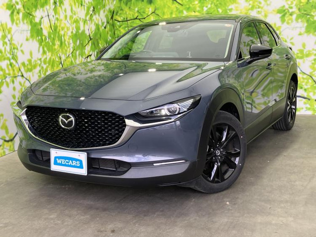 CX-302.0 20S ブラックトーンエディション