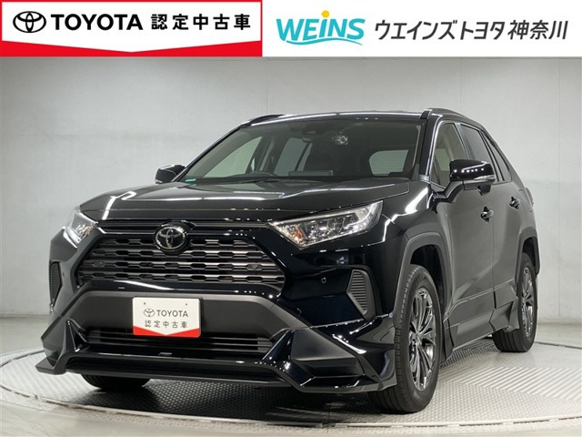 RAV42.0 X