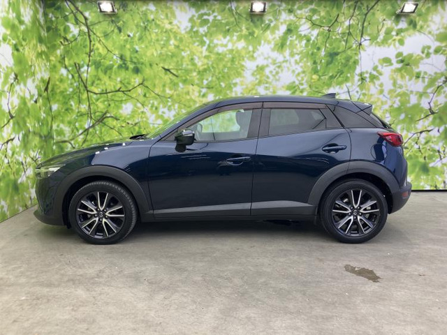 CX-31.5 XD プロアクティブ