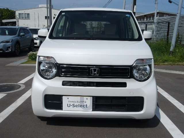 N-WGNG