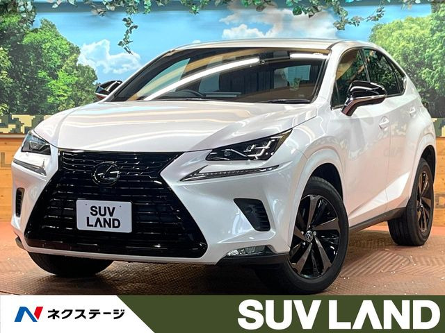 NX300 ブロンズ エディション