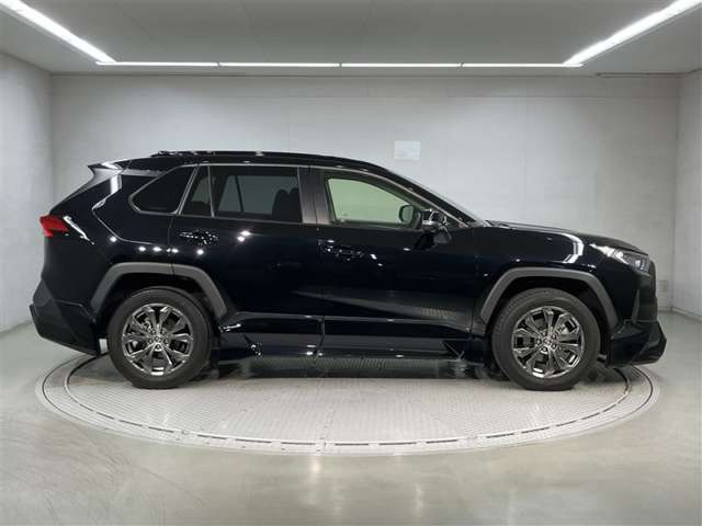 RAV42.0 X