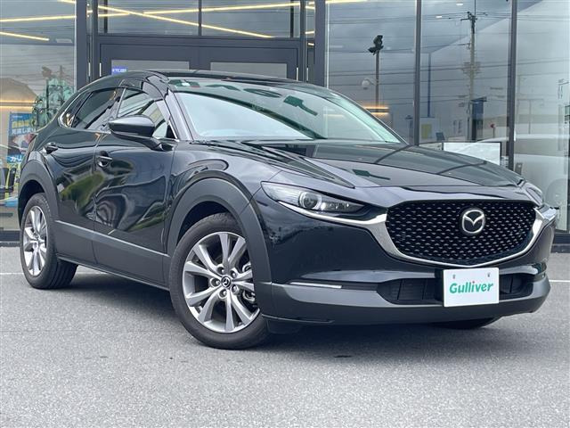 CX-302.0 20S プロアクティブ