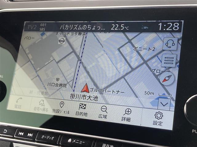 リーフX