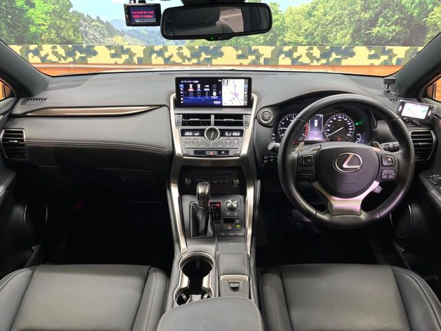 NX300 ブロンズ エディション