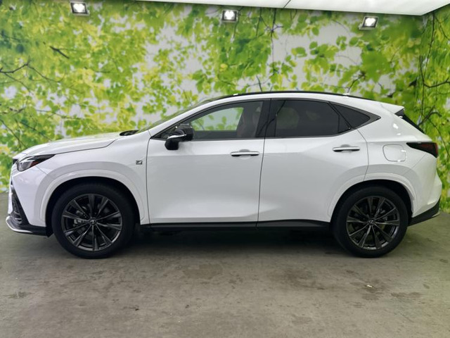 NX350h Fスポーツ
