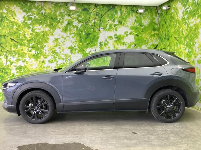 CX-302.0 20S ブラックトーンエディション